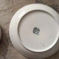 ظرف چینی قدیمی|کلکسیون اشیاء عتیقه|قرچک, میرزائی جنوبی|دیوار