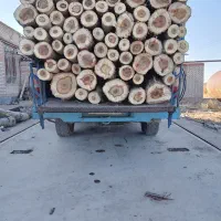 خرید انواع چوب|خدمات باغبانی و درختکاری|سراب, |دیوار