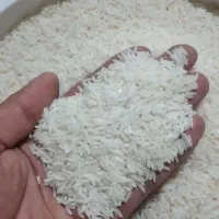 طارم درجه یک اورگانیک|خوردنی و آشامیدنی|فرح آباد, |دیوار