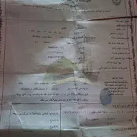 دو عدد فیش حج تمتع