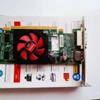 Amd