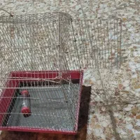 قفس|لوازم جانبی حیوانات|اندیمشک, |دیوار