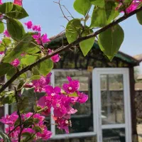 استخدام  پیتزا زن سالن دار و بخشهای مختلف مجموعه|استخدام خدمات فروشگاه و رستوران|مسجد سلیمان, |دیوار