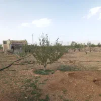فروش-سه-جریب-باغ