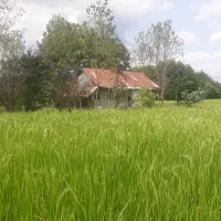 فروش مسکونی با شالیزار در سراوان/ قاضیان|فروش خانه و ویلا|رشت, حومه رشت|دیوار