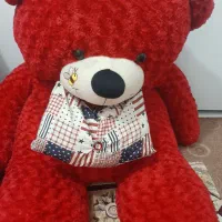 شاسخین