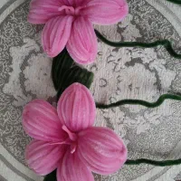دسته گل روبانی