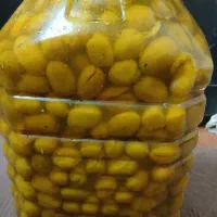 زیتون|خوردنی و آشامیدنی|رشت, بوسار|دیوار