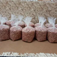 بادام زمینی