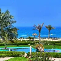 تور کیش / تورکیش / کارگزار مستقیم تور کیش در شیراز|تور و چارتر|شیراز, ریشمک|دیوار