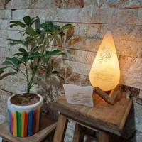 عرضه انواع سنگ نمک تزئینی و نمک صورتی خوراکی|صنایع دستی و سایر لوازم تزئینی|ری, دولتآباد|دیوار