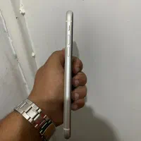iPhone 11 normal|موبایل|فسا, |دیوار