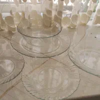 سرویس بیرکس و کلمن کویر