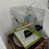 قفس در حد نو