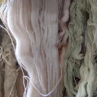 نخ قالی مرینوس