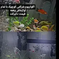 اکواریوم شرکتی