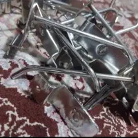 شاخک رگال سایزهای مختلف