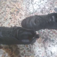 کفش مردانه کارکرده|کیف، کفش، کمربند|گرگان, |دیوار