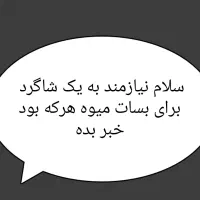 میوه نارنگی تازه