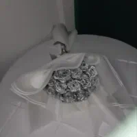 گل ربانی فقط فقط شاخه ای ۲۰|گل مصنوعی|اراک, |دیوار