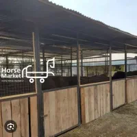 نیازمند نگهبان شب در اصطبل اسب