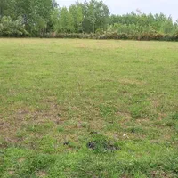 زمین باغی خارج طرح مناسب درختکاری|فروش دفتر صنعتی، کشاورزی، تجاری|صومعه‌سرا, |دیوار