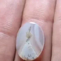 شجر|جواهرات|کهریزک, |دیوار