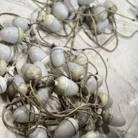 فروش وسایل رستوران|کافی‌شاپ و رستوران|پردیس, فاز ۳|دیوار