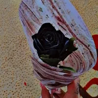 گل مصنوعی|گل مصنوعی|آشخانه, |دیوار