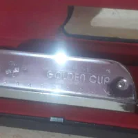 ساز دهنی گلدن کاپ فوق|سازهای بادی|پاکدشت, پاکدشت (مامازند)|دیوار