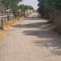 فروش-باغچه-1000-متری