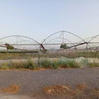 لوله گلخانه به متراژ هزارمترمربع
