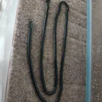 گردنبند