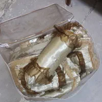 روتختی ساتن