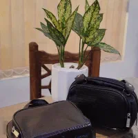 کیف حاج خانومی