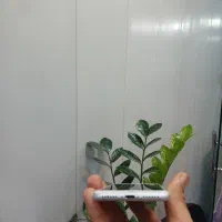 ایفون 7 و ۲۵۶ گیگ