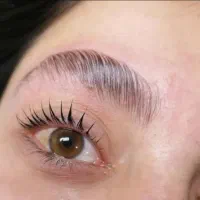 مدل لیفت لمینت تنت مژه وابرو|خدمات زیبایی و سلامت|شیراز, ملاصدرا|دیوار