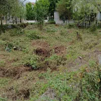 زمین ۵۴۱ متری/سند شش دانگ/پروانه ساخت دارد/نشتارود|فروش زمین و ملک کلنگی|نشتارود, |دیوار