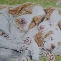 نقاشی(سگ‌خوابالو)