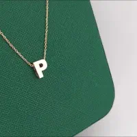 پلاک زنجیر استیل|بدلیجات|الشتر, |دیوار