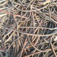 خریدار‌پوسته‌کابل‌و‌قلمبه