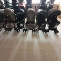 کالسکه|کالسکه و لوازم جانبی|بناب, |دیوار