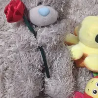 عروسک|اسباببازی بچه|تالش, تالش|دیوار