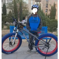 دوچرخه جاینت