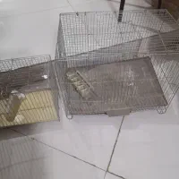 قفس پرنده