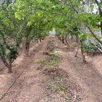 فروش-زمین-کشاورزی