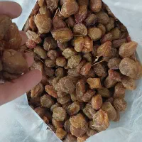 الو خوانسار|عمده‌فروشی|خوانسار, |دیوار