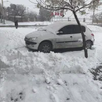 ۲۰۶ تیپ ۲ سفارشی مدل ۸۸ سفید