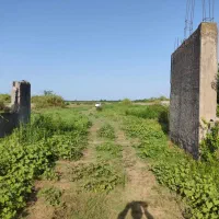 زمین|فروش زمین و ملک کلنگی|زیباکنار, |دیوار