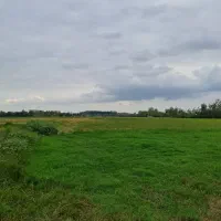 فروش بیجار در شفت|فروش زمین و ملک کلنگی|شفت, |دیوار